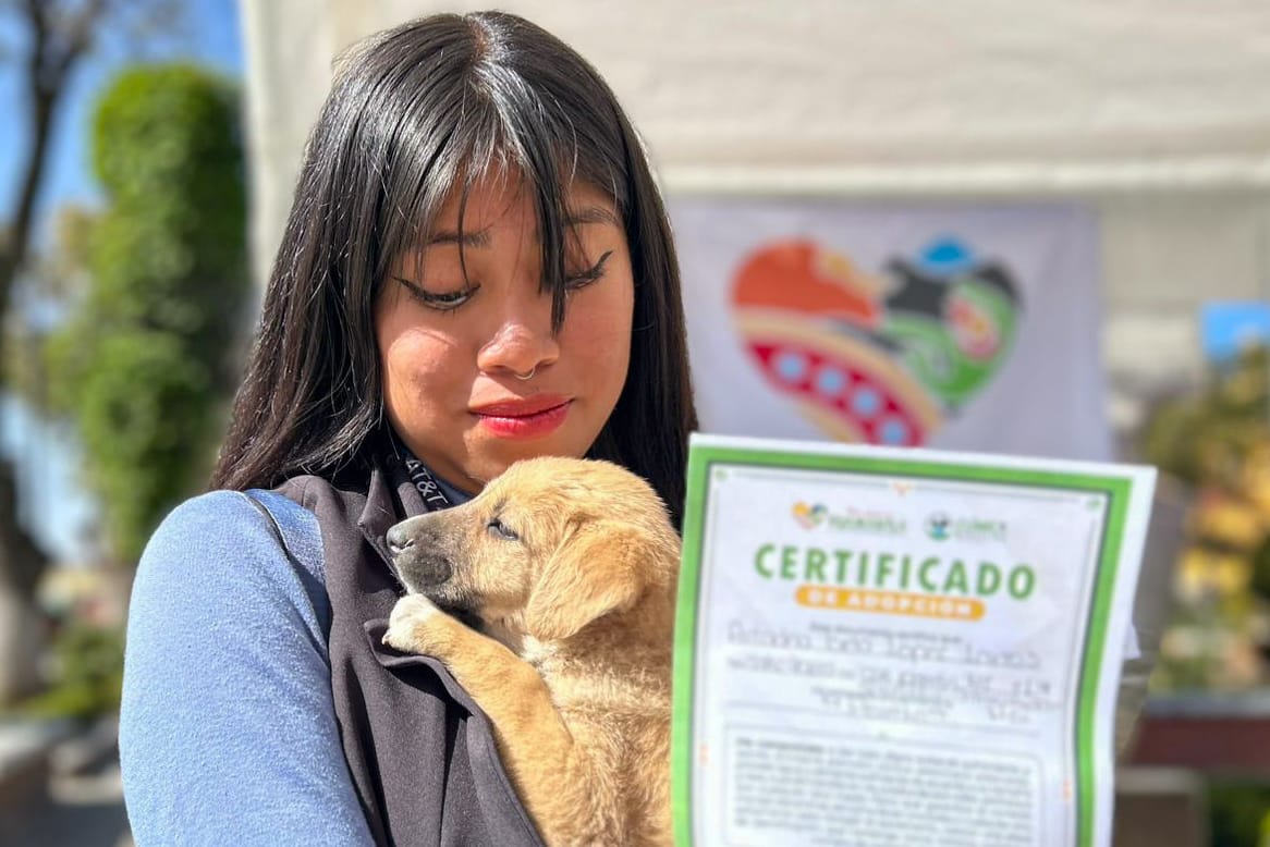 Con gran entusiasmo inicia Bazar Navideño y Feria de Adopción de la Aldea Mágica en Huamantla